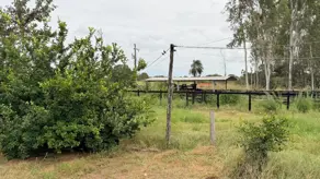 Imagem 5 - Sítio em ZONA RURAL, Cáceres - MT