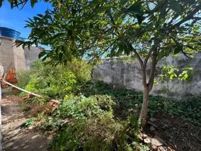Imagem 2 - Casa em Cohab Velha, Cáceres - MT