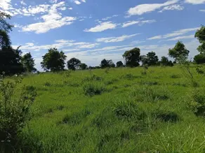 Sítio Nova Cáceres, Cáceres - MT — foto 2