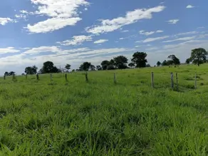 Imagem 2 - Sítio em Nova Cáceres, Cáceres - MT