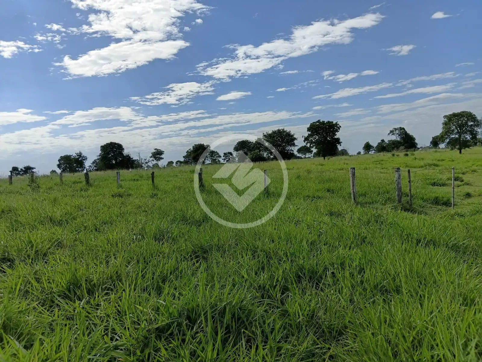 Imagem 2 - Sítio em Nova Cáceres, Cáceres - MT