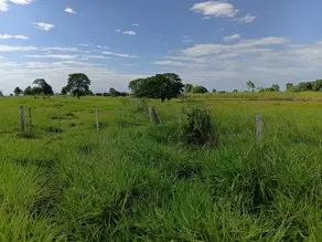 Imagem 3 - Sítio em Nova Cáceres, Cáceres - MT