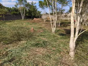 Imagem 6 - Terreno em Santa Rosa, Cáceres - MT