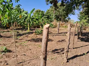 Terreno Vila Real, Cáceres - MT — foto 1