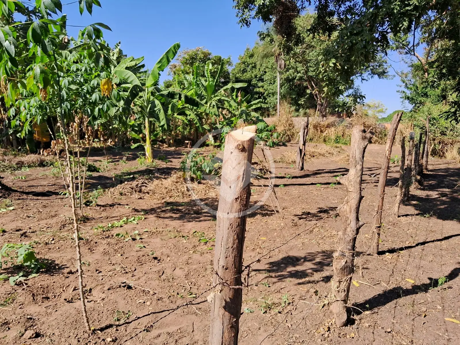 Imagem 1 - Terreno em Vila Real, Cáceres - MT