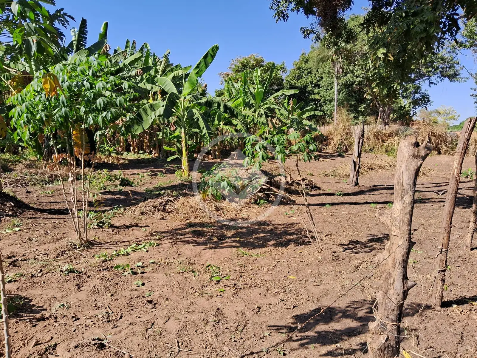 Image 2 - Terreno em Vila Real, Cáceres - MT