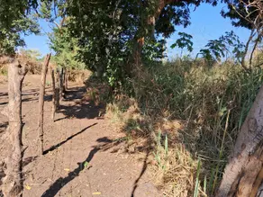 Terreno Vila Real, Cáceres - MT — foto 1