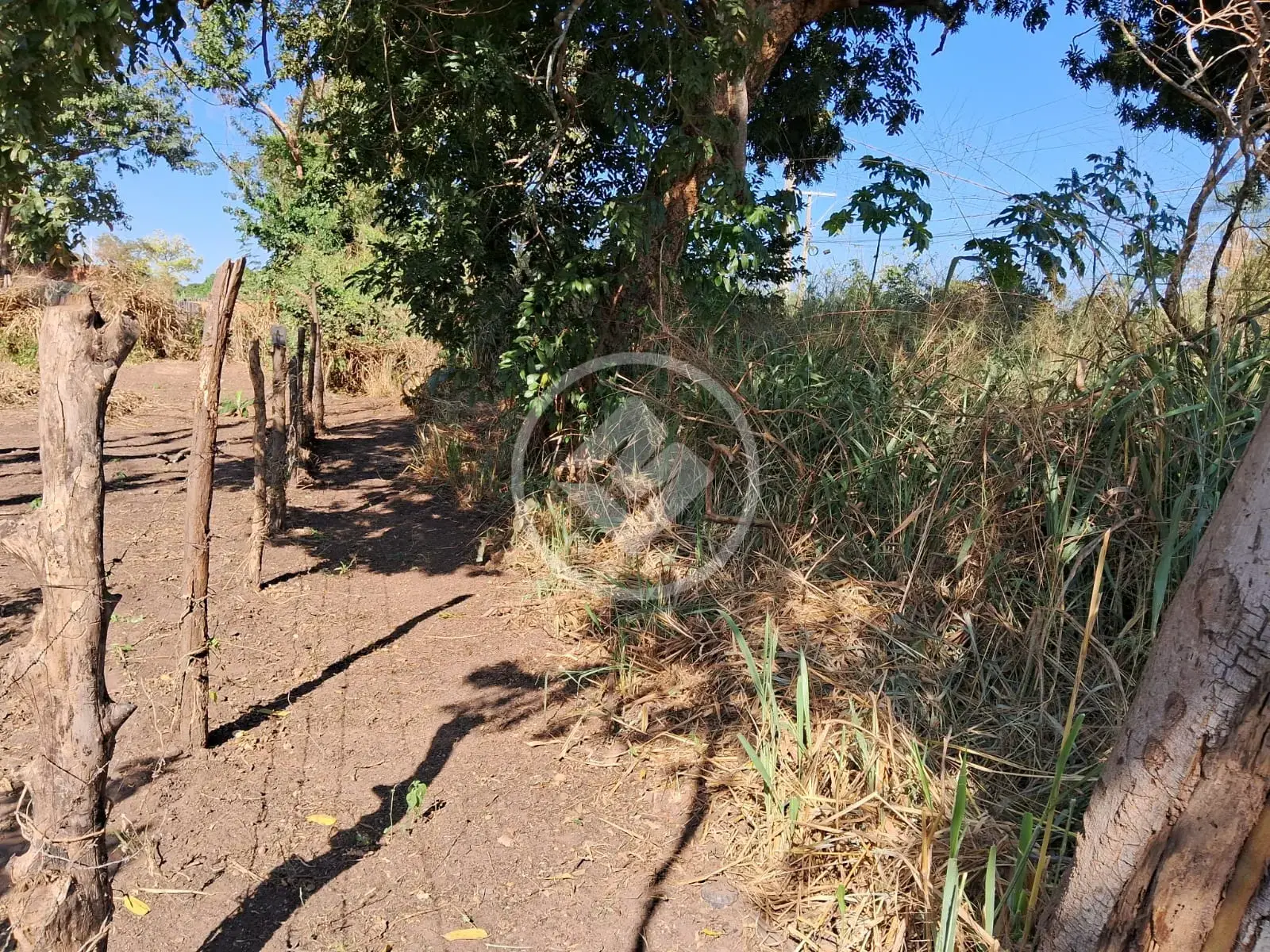 Imagem 1 - Terreno em Vila Real, Cáceres - MT