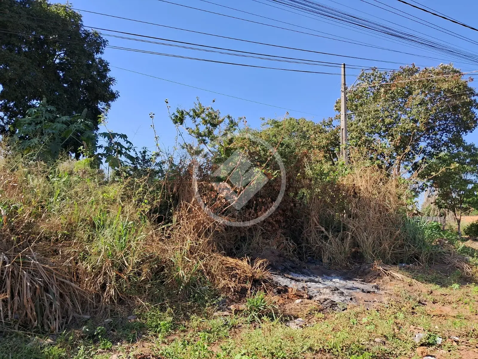 Image 4 - Terreno em Vila Real, Cáceres - MT