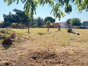 Imagem 5 - Terreno em Junco, Cáceres - MT