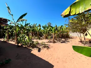 Imagem 3 - Terreno em Jardim do Trevo, Cáceres - MT