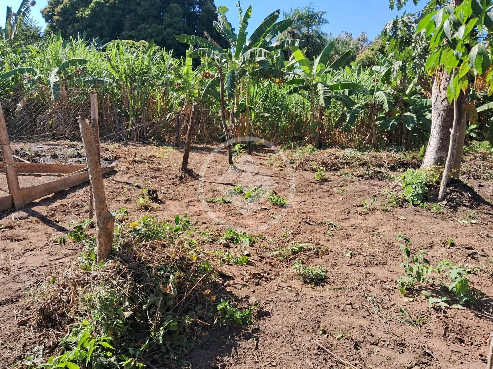 Imagem 1 - Terreno em Vila Real, Cáceres - MT