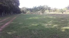Imagem 5 - Chácara em Zona Rural, Cáceres - MT