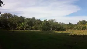 Imagem 6 - Chácara em Zona Rural, Cáceres - MT