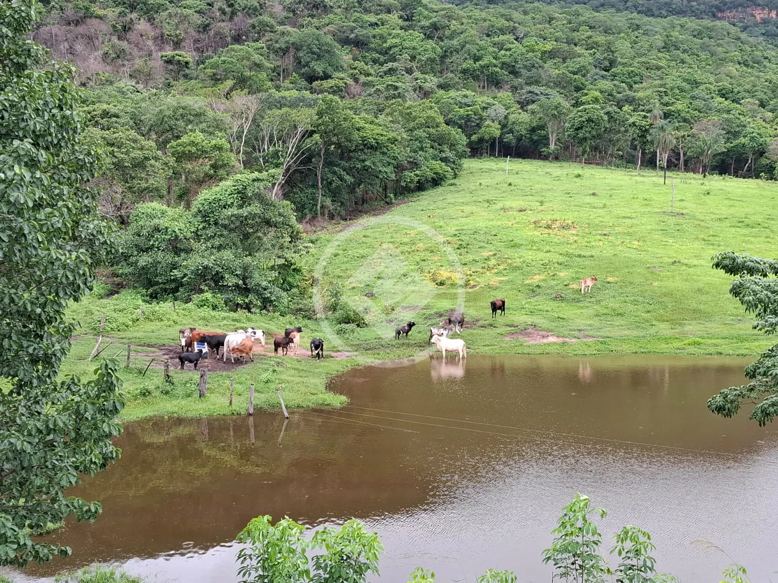 Imagem 1 - Fazenda em ZONA RURAL, Cáceres - MT