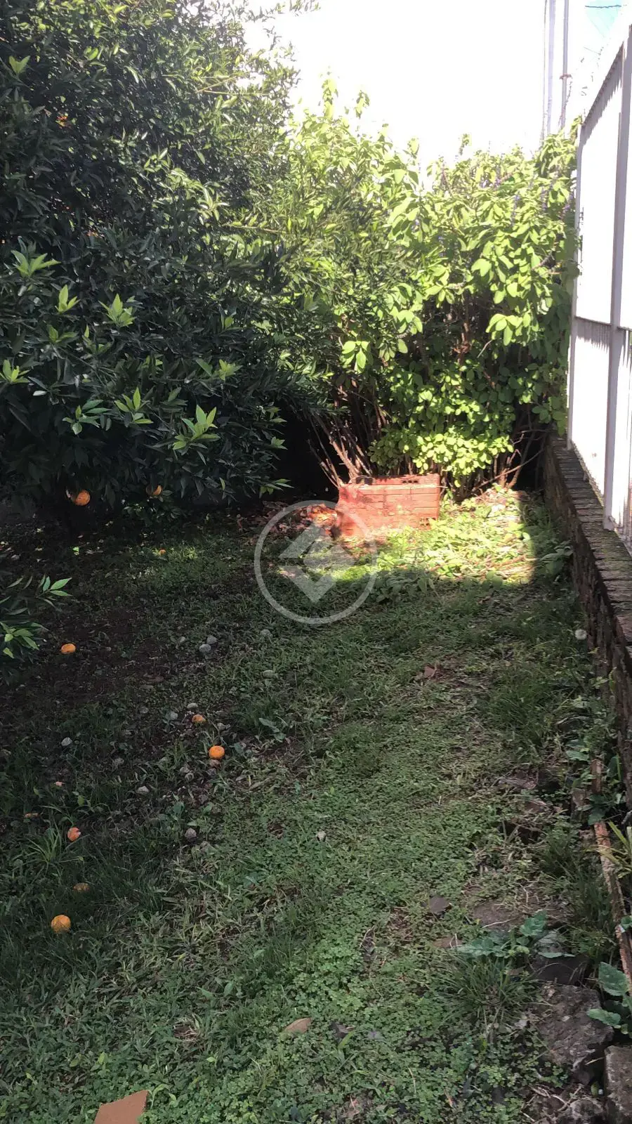 Imagem 3 - Casa em Dido, Santo Ângelo - RS