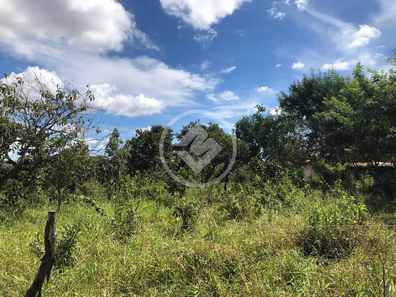 Imagem 1 - Chácara em Condomínio Ecológico Mansões Morumbi, Senador Canedo - GO