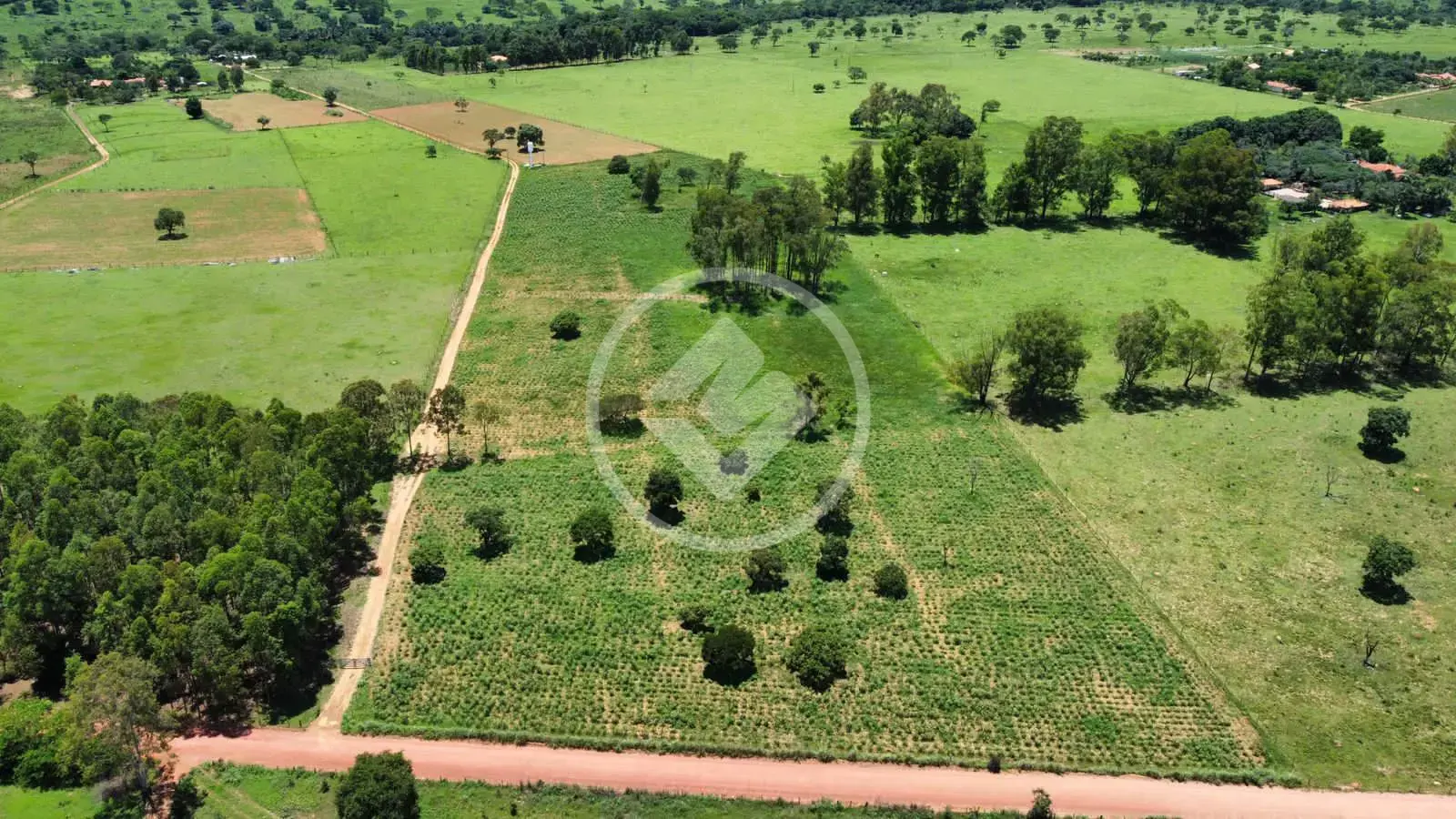 Imagem 1 - Chácara em Zona Rural, Hidrolândia - GO