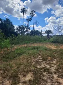 Imagem 5 - Fazenda em Área Rural de Vilhena, Vilhena - RO
