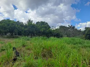 Imagem 6 - Fazenda em Área Rural de Vilhena, Vilhena - RO