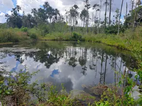 Fazenda Área Rural de Vilhena, Vilhena - RO — foto 2