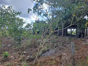 Imagem 3 - Fazenda em Área Rural de Vilhena, Vilhena - RO