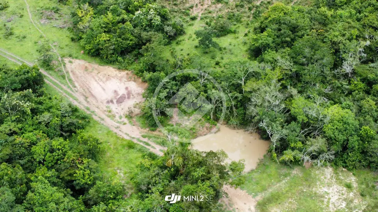 Imagem 1 - Fazenda em Centro, Silvânia - GO