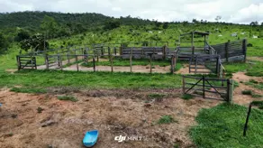 Imagem 2 - Fazenda em Centro, Silvânia - GO