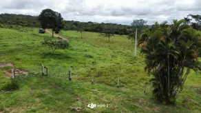 Imagem 6 - Fazenda em Centro, Silvânia - GO