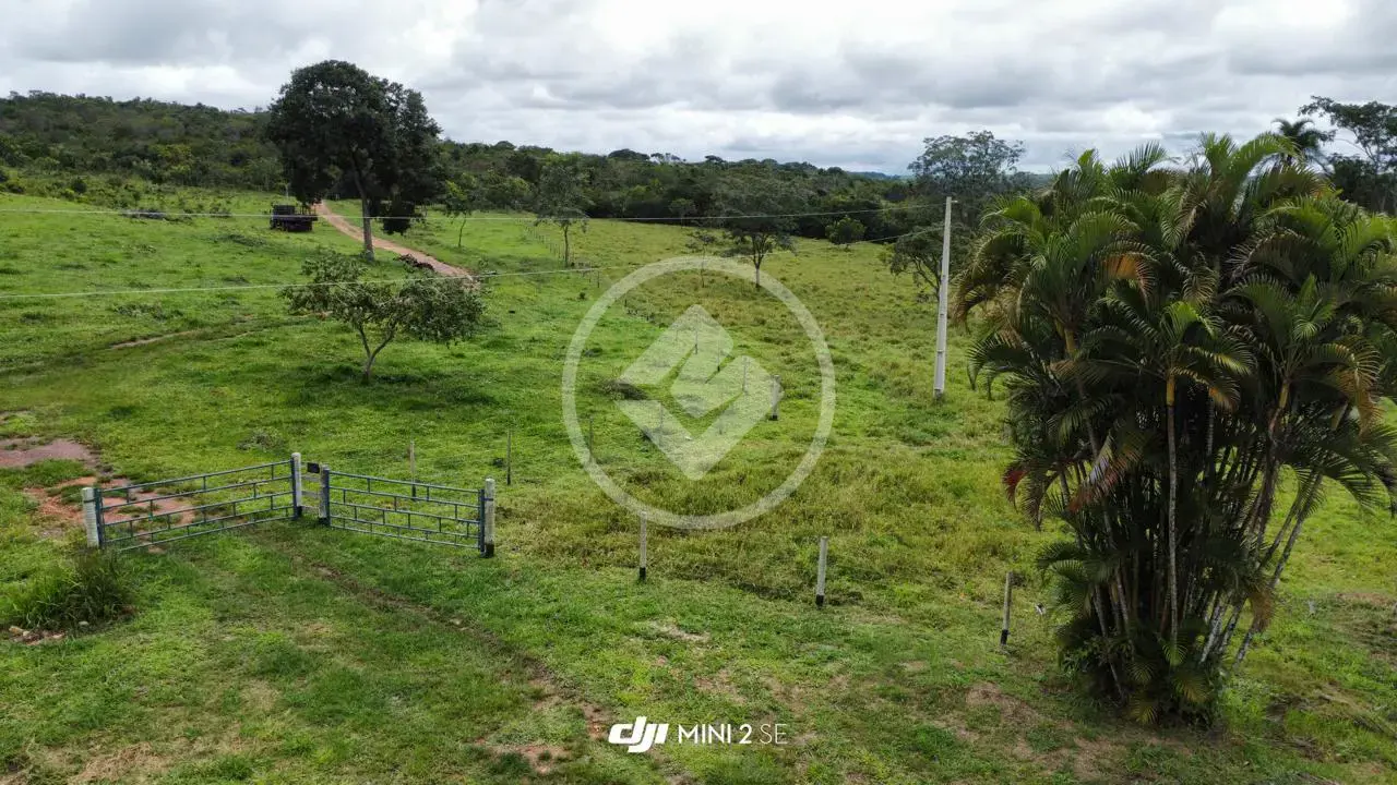 Imagem 6 - Fazenda em Centro, Silvânia - GO