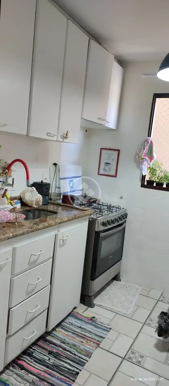 Imagem 5 - Casa em Setor Sudoeste, Goiânia - GO
