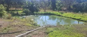 Chácara Zona Rural, Goiás - GO — foto 2