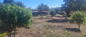 Imagem 2 - Chácara em Zona Rural, Goiás - GO