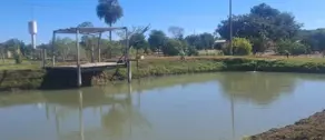Imagem 3 - Chácara em Zona Rural, Goiás - GO
