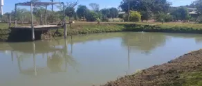 Imagem 5 - Chácara em Zona Rural, Goiás - GO