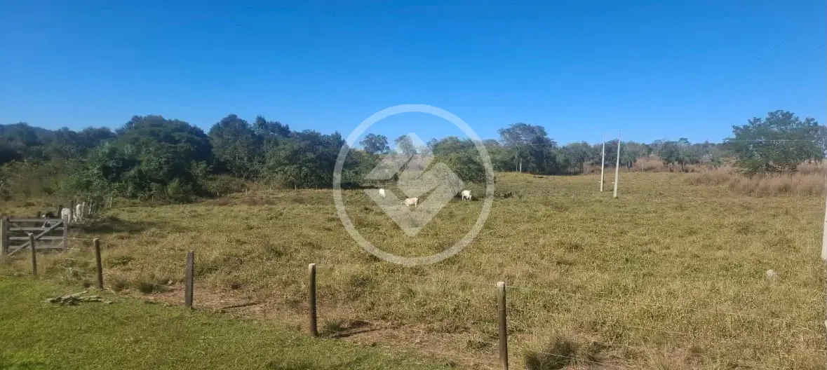 Image 8 - Chácara em Zona Rural, Goiás - GO