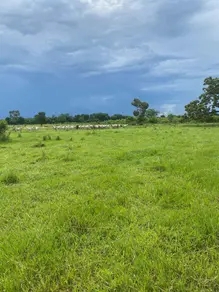Imagem 4 - Fazenda em Rio claro, Jussara - GO
