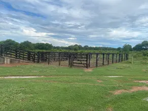 Imagem 3 - Fazenda em Rio claro, Jussara - GO