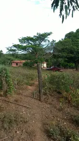 Fazenda Fazenda Indaiá, Niquelândia - GO — foto 1