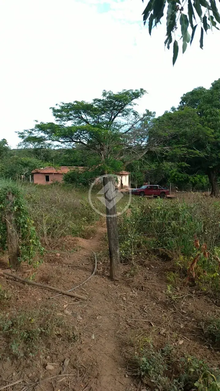 Imagem 1 - Fazenda em Fazenda Indaiá, Niquelândia - GO