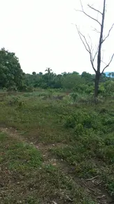 Fazenda Fazenda Indaiá, Niquelândia - GO — foto 2