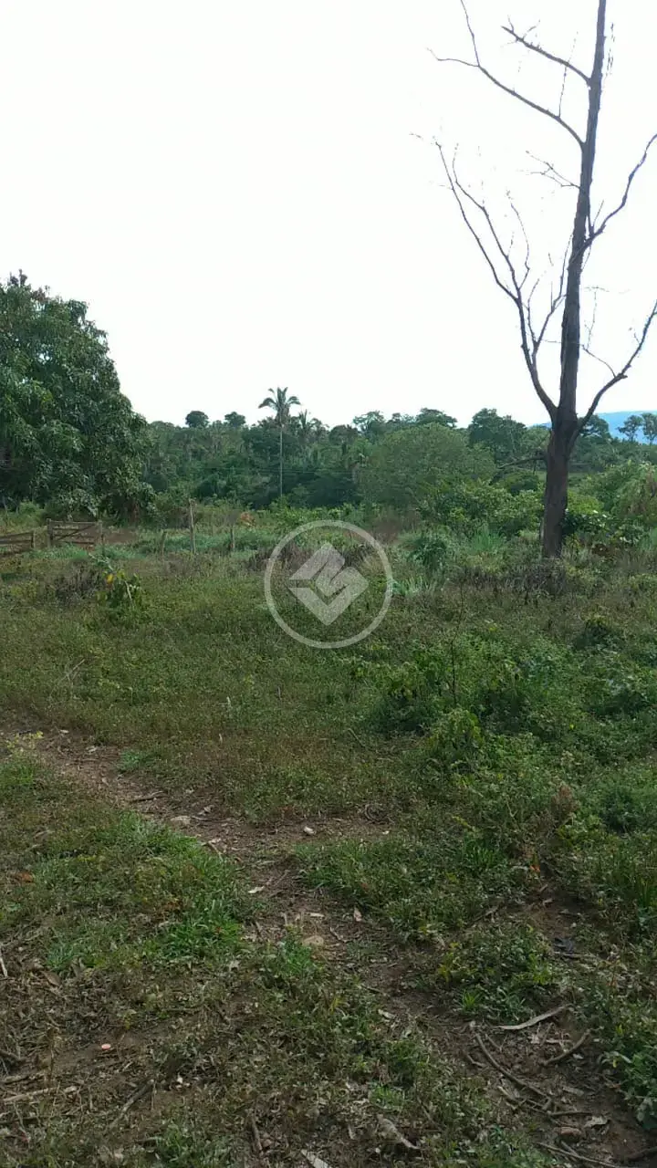 Image 2 - Fazenda em Fazenda Indaiá, Niquelândia - GO
