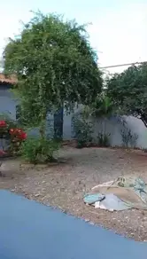 Imagem 6 - Casa em Parque das Flores, Goiânia - GO