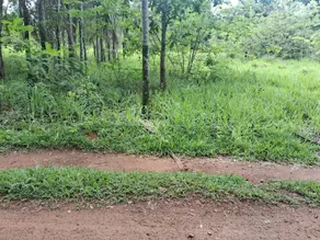 Terreno Vale do Sol, Aparecida de Goiânia - GO — foto 1