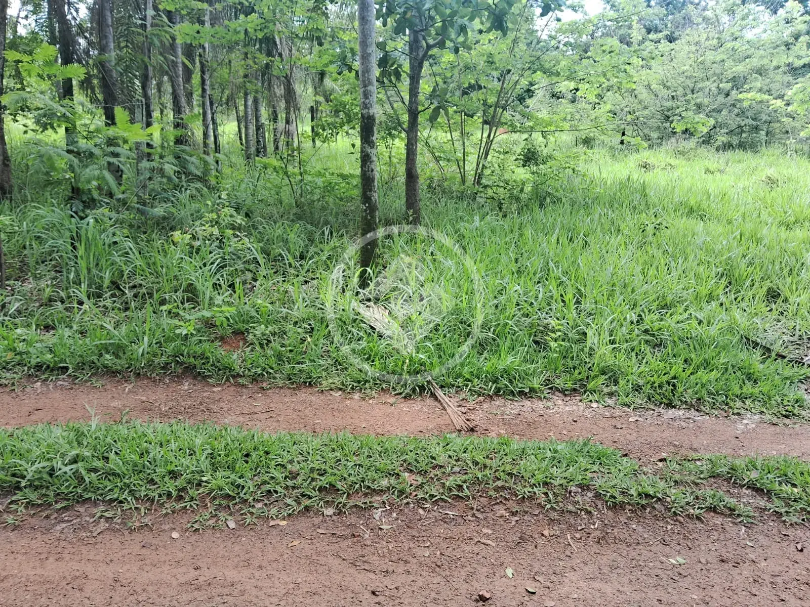 Imagem 1 - Terreno em Vale do Sol, Aparecida de Goiânia - GO