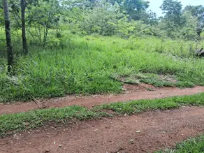 Terreno Vale do Sol, Aparecida de Goiânia - GO — foto 2