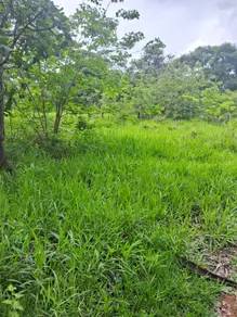 Imagem 3 - Terreno em Vale do Sol, Aparecida de Goiânia - GO