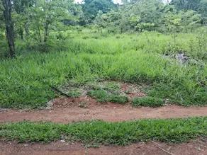 Imagem 6 - Terreno em Vale do Sol, Aparecida de Goiânia - GO
