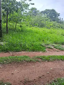Imagem 4 - Terreno em Vale do Sol, Aparecida de Goiânia - GO
