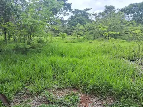 Imagem 5 - Terreno em Vale do Sol, Aparecida de Goiânia - GO